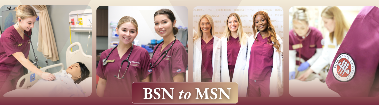 Master of Science in Nursing | College of Nursing